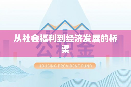 南木林从社会福利到经济发展的桥梁