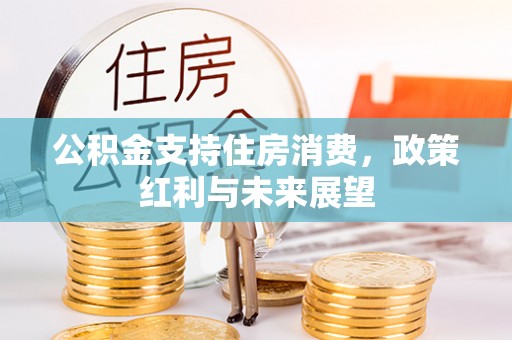南木林公积金支持住房消费，政策红利与未来展望