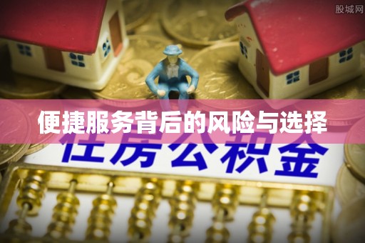 南木林便捷服务背后的风险与选择