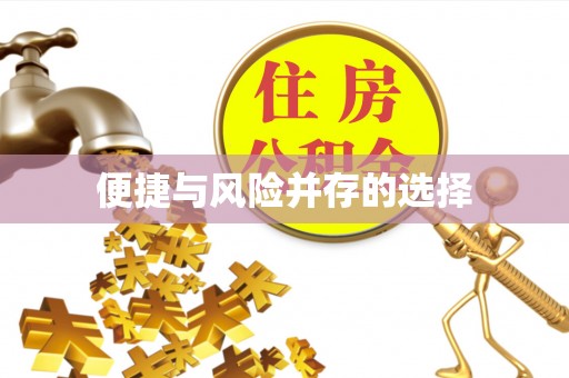 南木林便捷与风险并存的选择